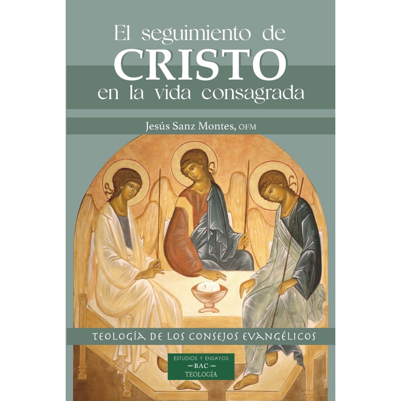 EL SEGUIMIENTO DE CRISTO EN LA VIDA CONSAGRADA nº297