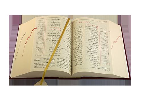 BIBLIA SCRUTATE LE SCRITTURE (ARABE)
