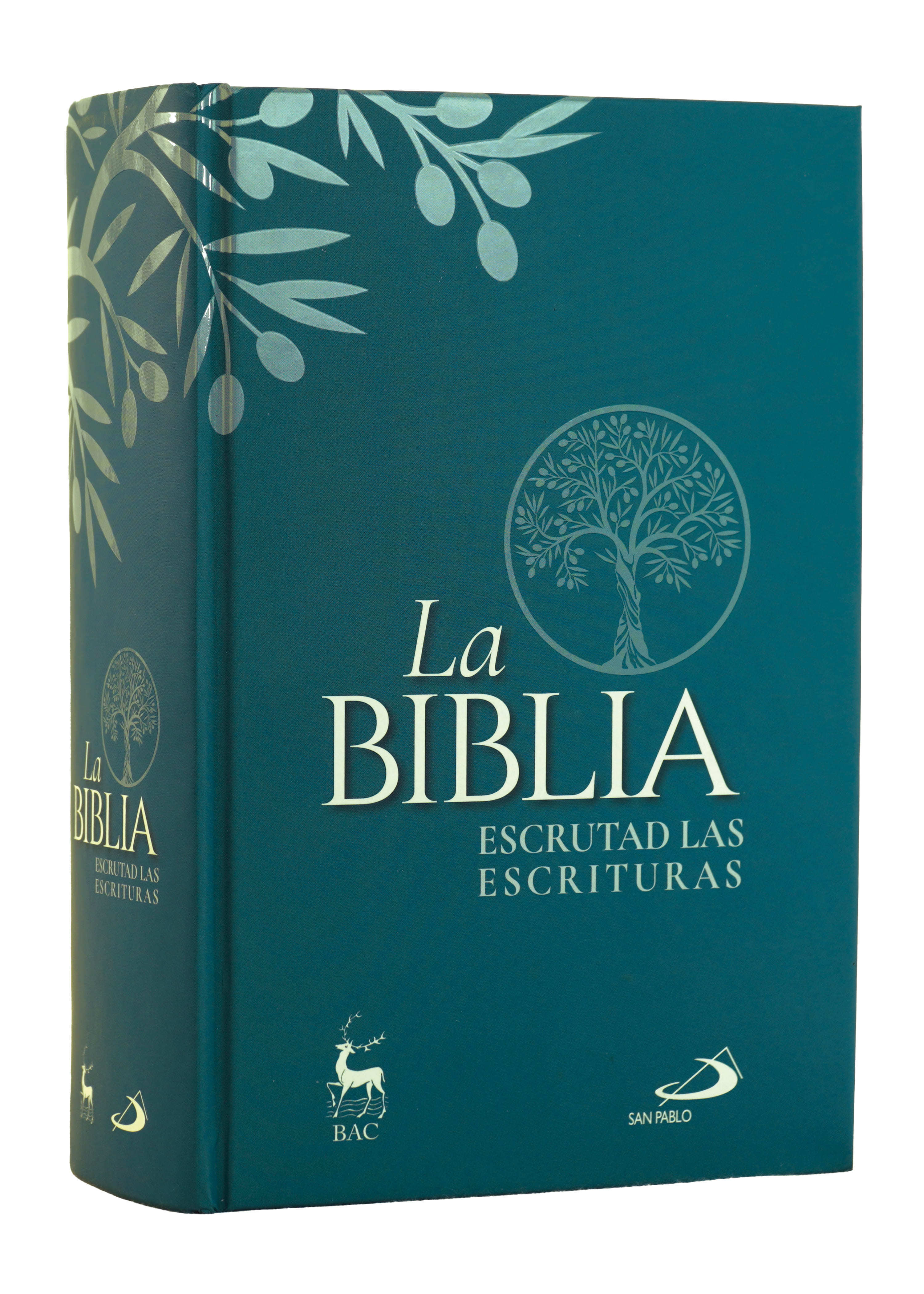 BIBLIA ESCRUTAD LAS ESCRITURAS. CROMO (S.PABLO)