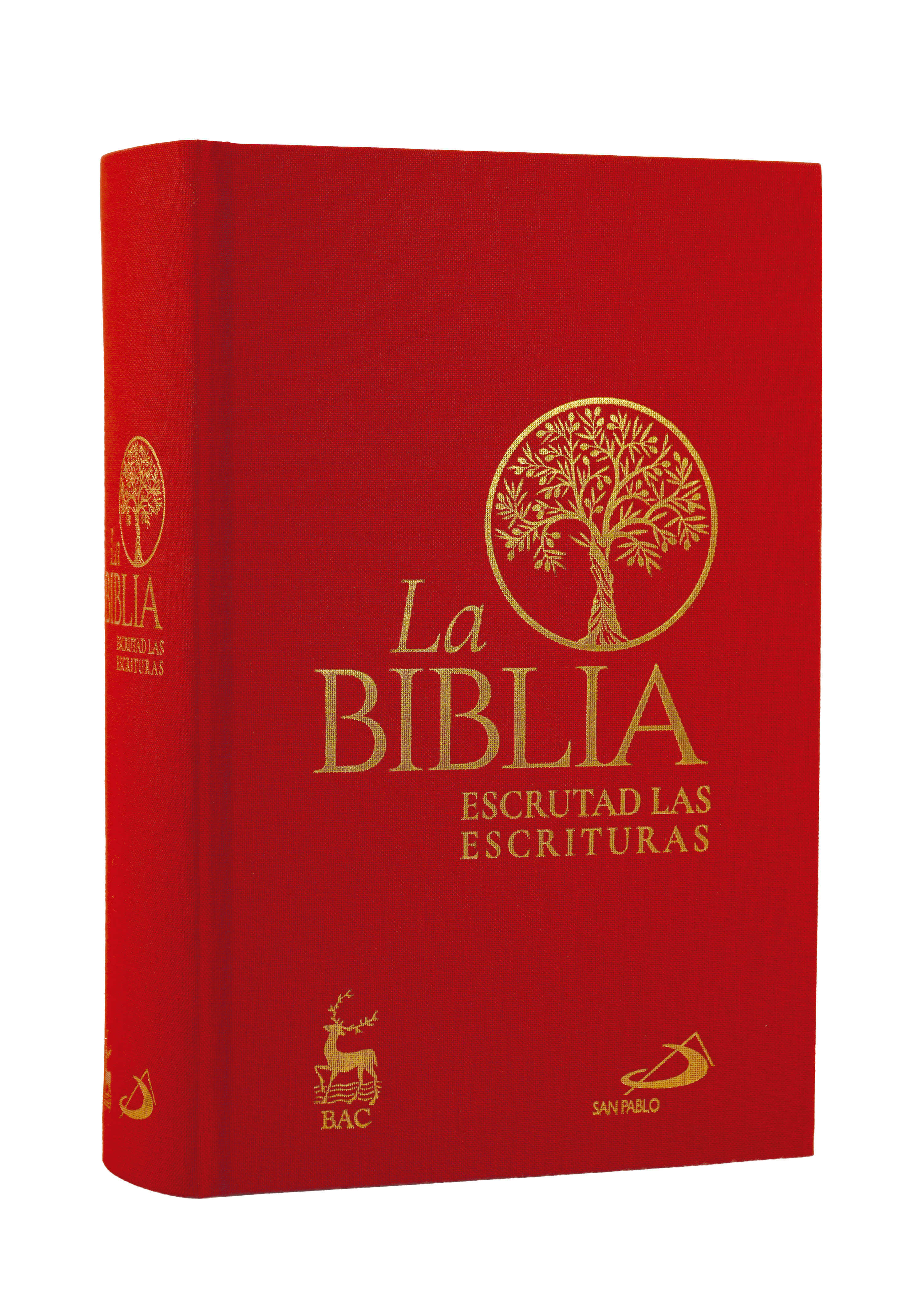 BIBLIA ESCRUTAD LAS ESCRITURAS. TELA (S.PABLO)
