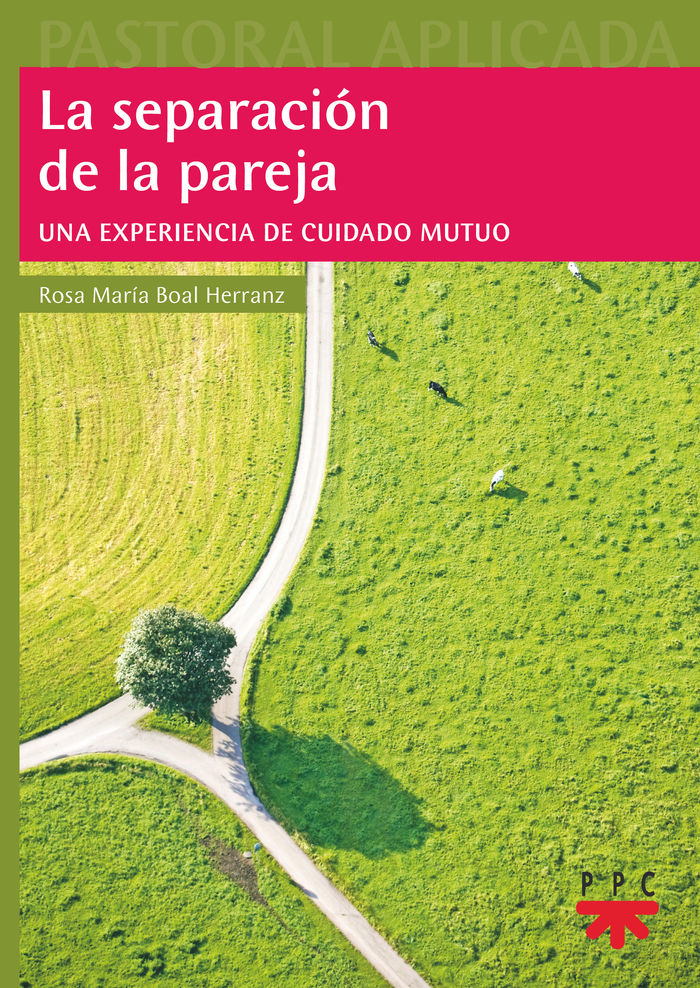 SEPARACION DE LA PAREJA, LA
