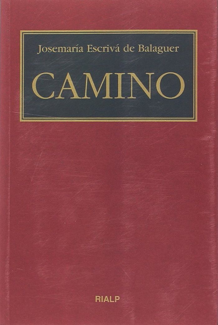 CAMINO (BOLSILLO, RUSTICA, COLOR)