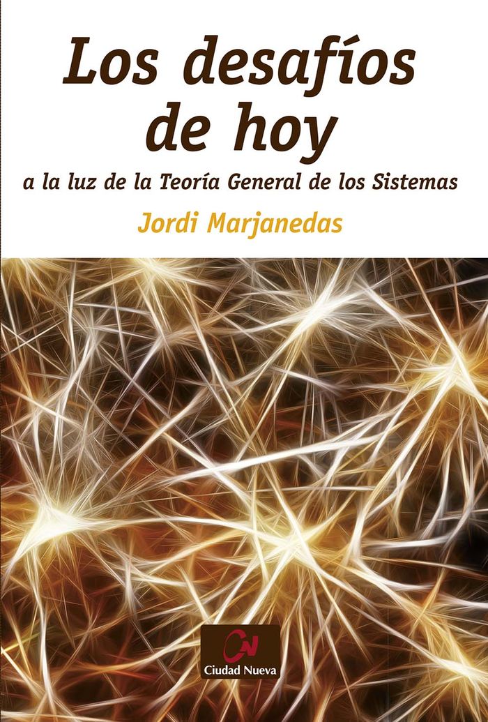 DESAFIOS DE HOY A LA LUZ DE LA TEORIA GENERAL DE LOS SI